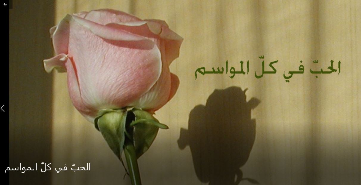 الحبّ في كلّ المواسم